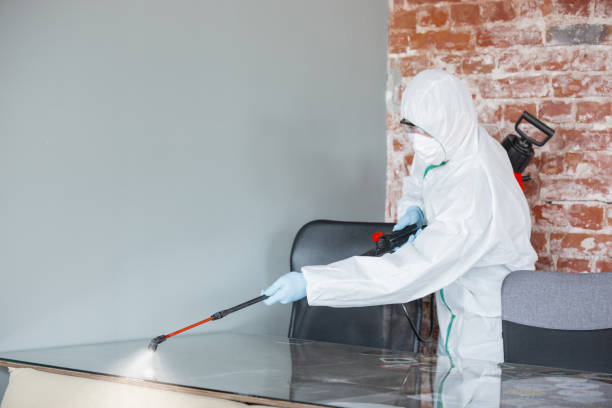 Best Emergency Mold Remediation  in Leonardtown, MD