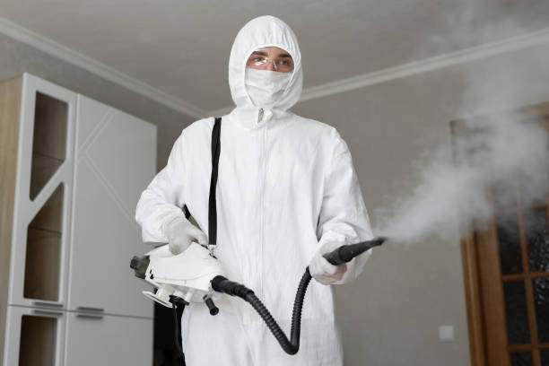 Best Basement Mold Removal  in Leonardtown, MD